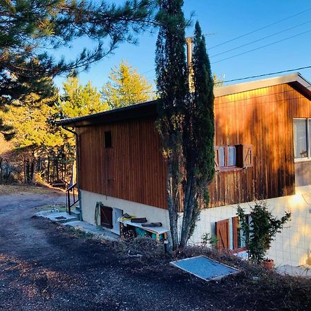 Chalet Forest Saint-Apollinaire  Exterior foto